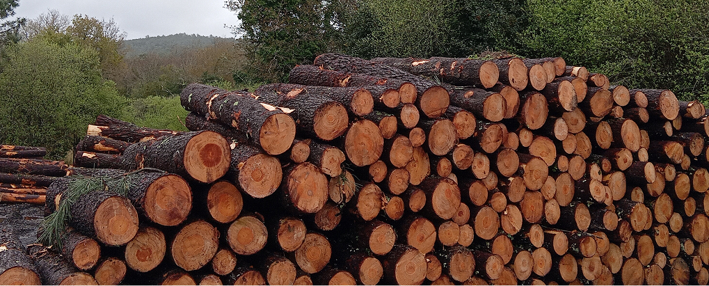 contacto-maderas-romero